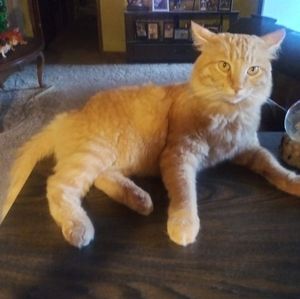 Meet your Posher, Janell